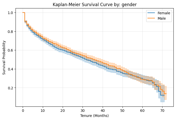 Log-rank Gender