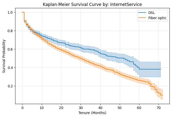 Log-rank Internet Service