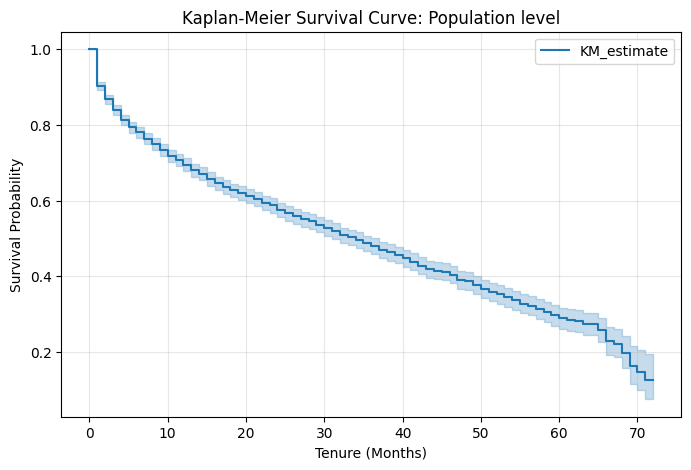 Population-level Kaplan-Meier Survival Curve